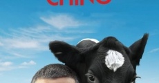 Un cuento chino (2011)