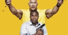 Central Intelligence (2016) stream