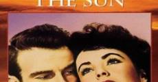 A Place in the Sun (aka The Lovers) (1951) stream