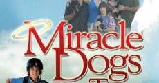 Filme completo Dois Cãezinhos Milagrosos