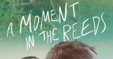 A Moment in the Reeds (2018) stream