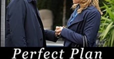 Perfect Plan (2010)