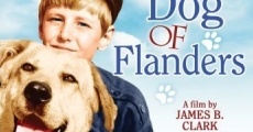 A Dog of Flanders (1959) stream