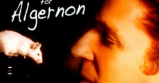 Filme completo Um Amigo para Algernon