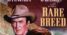 Rancho bravo streaming