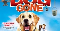 Dog Gone