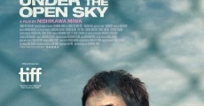 Under the Open Sky streaming