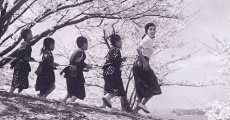 Nijushi no hitomi (1954) stream