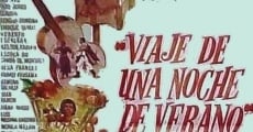 Viaje de una noche de verano (1965)