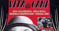 Vita da cani film complet