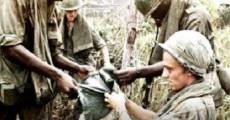 Vietnam in HD (Vietnam: Lost Films) streaming