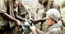 Vietnam in HD (Vietnam: Lost Films) streaming