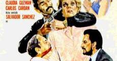 Violencia a domicilio (1989) stream