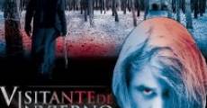 Visitante de invierno streaming