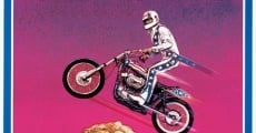 Viva Knievel!