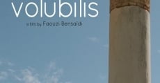 Volubilis streaming