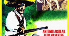 Vuelve el ojo de vidrio (1970) stream