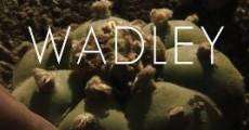 Wadley (2008) stream