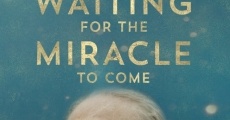 Waiting for the Miracle to Come