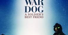 Ver película War Dog: el mejor amigo de un soldado