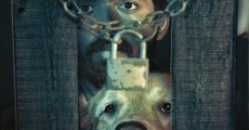 Watchman (2019) stream