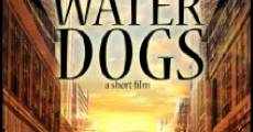 Película Water Dogs