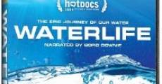 Película Waterlife