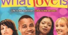 What Love Is (2007) stream