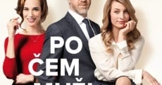 Po cem muzi touzí (2018) stream