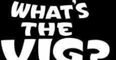 What's the Vig? (2006) stream