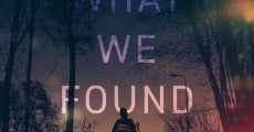 What We Found (2020) stream