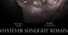 Película Whatever Sunlight Remains