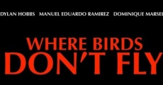 Where Birds Don't Fly