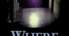 Where Evil Lies (1995) stream