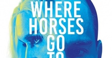 Where Horses Go to Die (2016) stream