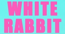Ver película Conejo blanco