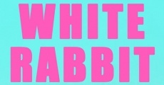 White Rabbit