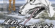 Hashire! Shiroi okami streaming