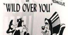Looney Tunes' Pepe Le Pew: Wild Over You (1953) stream