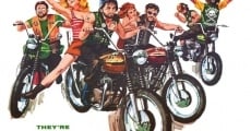 The Wild Rebels (1967) stream