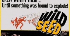 Wild Seed (1965) stream