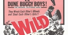 Wild Wheels (1969)