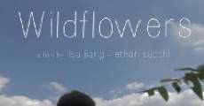 Wildflowers streaming