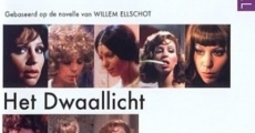 Dwaallicht