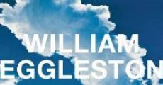 William Eggleston in the Real World streaming