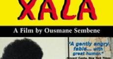 Xala (1975) stream