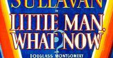 Little Man, What Now? (1934) stream