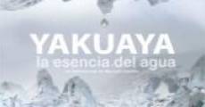 Película Yakuaya, la esencia del agua