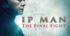 Ip Man: Final Fight streaming