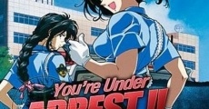 You're Under Arrest - Le Film streaming